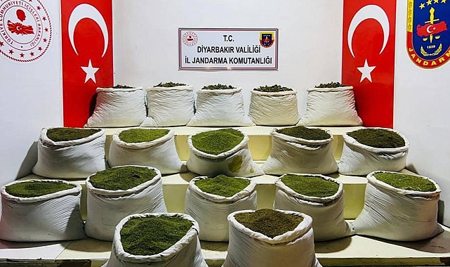 1 ton 354 kilo esrar, 122 bin uyuşturucu bitkisi ele geçirildi