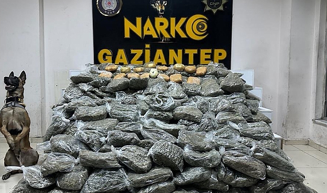 170 kilogram skunk ele geçirildi