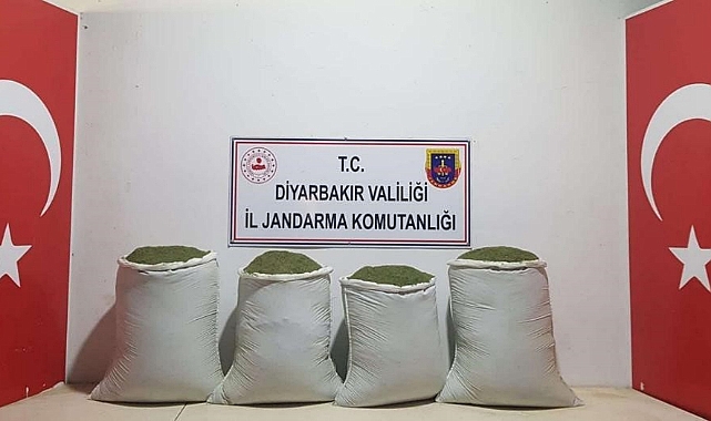 240 kilo esrar ele geçirildi