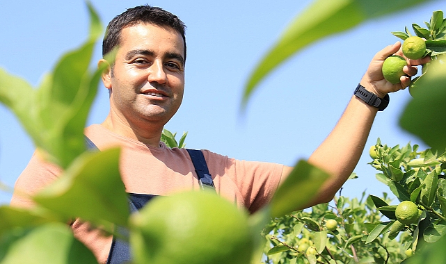 Bu limon ’yeşil limon’ fiyatı: 40 TL, diğerleri 3 TL