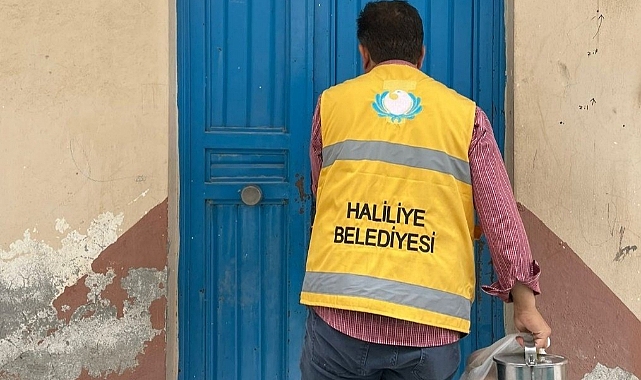 Canpolat’la Haliliye için canla başla