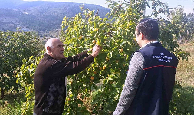 Emet’te çiftçilere meyve ağaçlarında bitki sağlığı ile ilgili mücadele yöntemleri anlatıldı