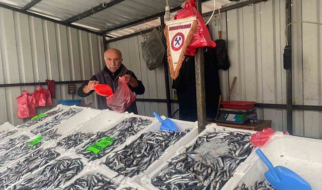 Fiyatlar düşüşe geçti, balığa ilgi arttı