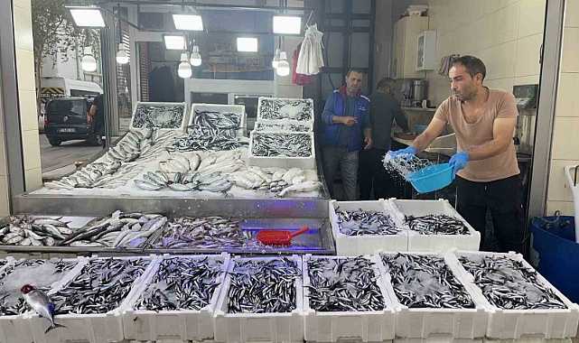 Hamsi 40 liraya düştü