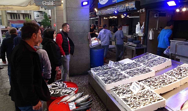 Hamsi tezgâhlara indi, vatandaş balık haline akın etti