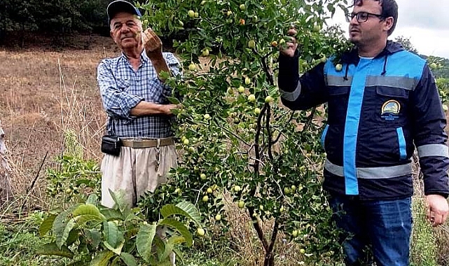 Hisarcık Güldüren köyünde bahçe kontrolü