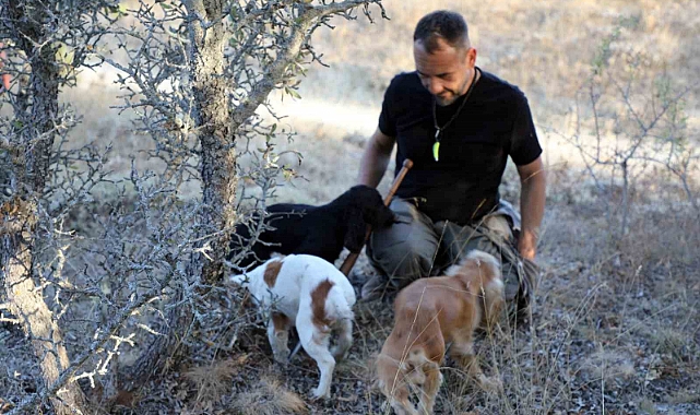 Kilosu 3 bin avro ve sadece özel eğitimli köpekler bulabiliyor