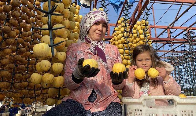 Manisa’dan dünyaya cennet hurması