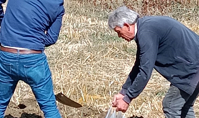 Şaphane’ye yaban mersini bahçesi tesis edilecek