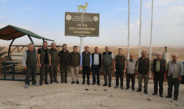 Şıldak “Urfa ceylanı ülkemizdeki nadide türlerden biri”