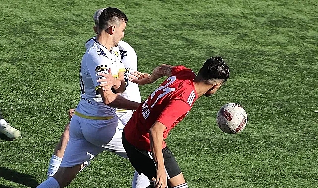 Teselliyi 'Yarasalar'da bulduk