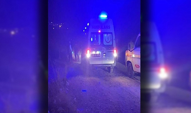 Urfa'da iki kamyonet çarpıştı: 20 yaralı