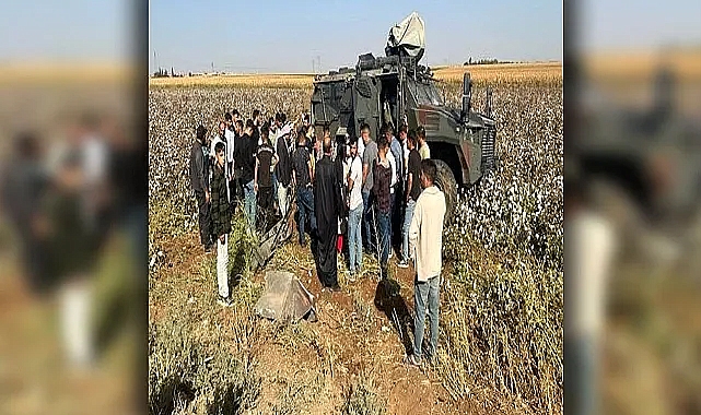 Urfa'da zırhlı askeri araç devrildi: Yaralılar var