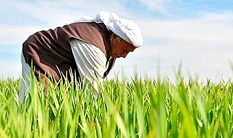 Urfa tarımı ipotek altında