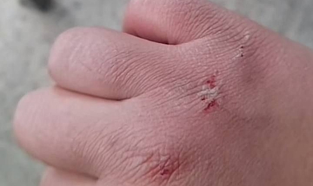 Urfalı veliler dikkat! Gençler tehlikede