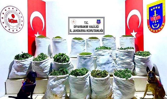 Uyuşturucu operasyonu: 285 kilo esrar ele geçirildi