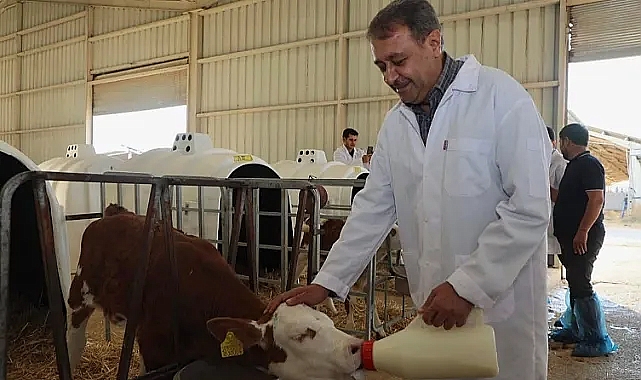 Vali Şıldak, TİGEM'de incelemelerde bulundu