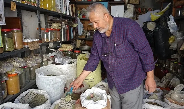 Yüksek tansiyonu olanlarda zencefil kullanılmaması uyarısı
