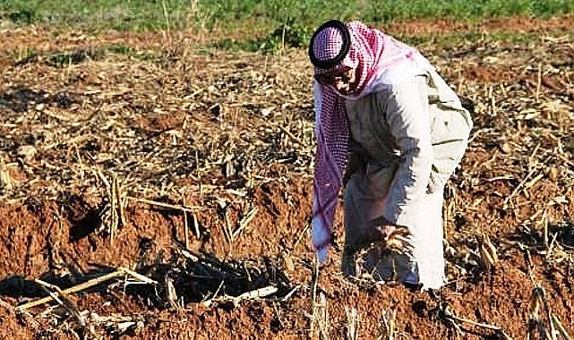 'Bir gün ithal kapıları kapandığı zaman bizi hatırlayacaklar'