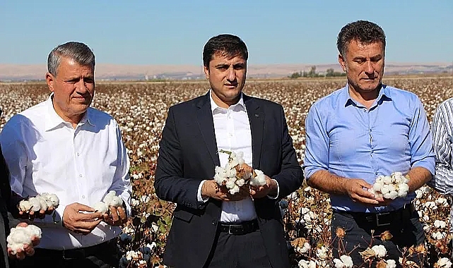 CHP'li Karadağ'dan DSİ'ye tepki !