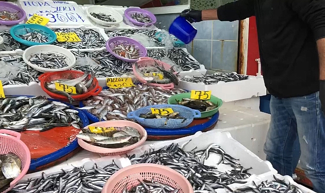 Fırtınanın ardından tezgahlar hamsiyle coştu