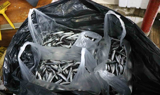 Karadenizlilerin burun kıvırdığı hamsi Anadolu’ya kolilerle gönderiliyor