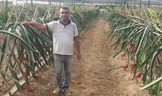 Küresel ısınma fırsata dönüşüyor