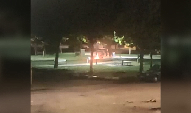 Madde bağımlıları parktaki bankı ateşe verdi