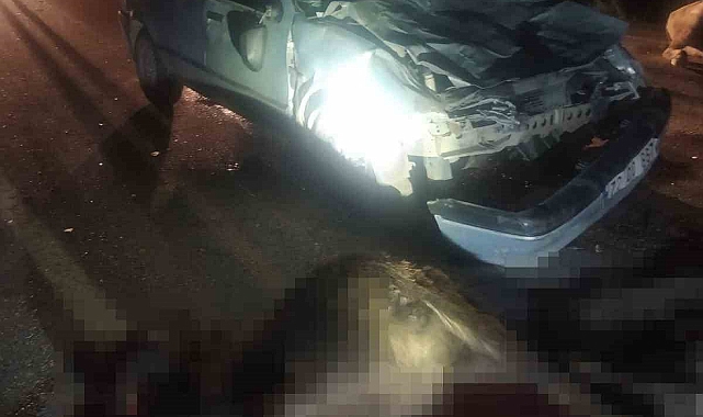 Otomobil mandalara çarptı: 2 kişi yaralandı, 3 manda telef oldu