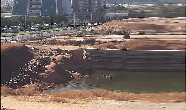 Urfa Barosu'ndan kritik çağrı