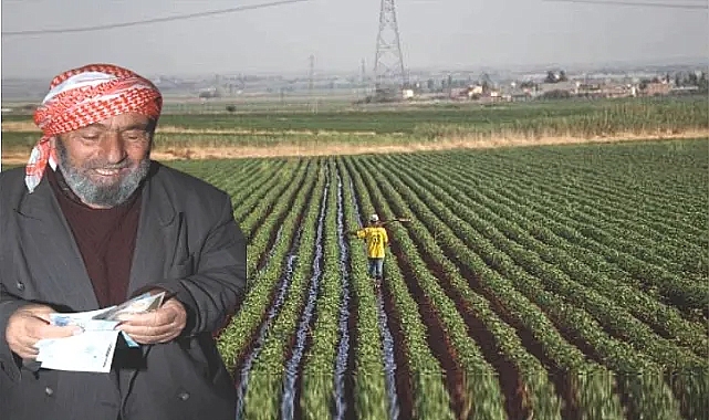 Urfa çiftçisine 2 güzel haber birden