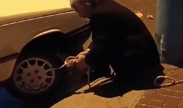 Urfa’da ikinci sel korkusu