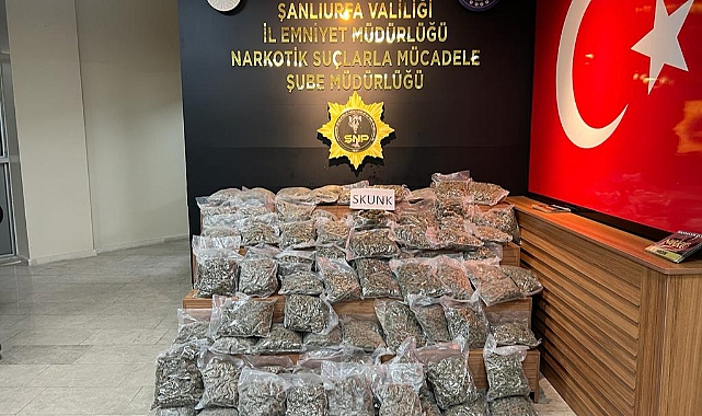 Uyuşturucu operasyonunda 46 kilo skunk ele geçirildi