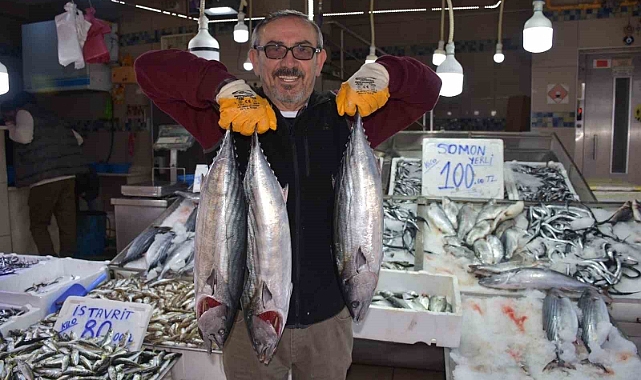 3 ve 5 kilogram arası torikler 500 TL