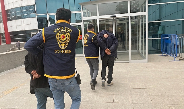 Balıkçının oltasına takılan balık dana fiyatına satıldı