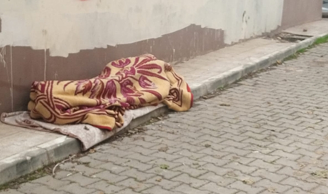 Bu bir insanlık ayıbı!
