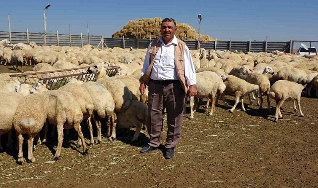 Bu çadır sayesinde hayvan sayısını 2 katına çıkardı