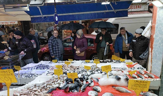 Bu sezon ilk: Kilosu 25 TL’ye düşen hamsi kapış kapış gitti