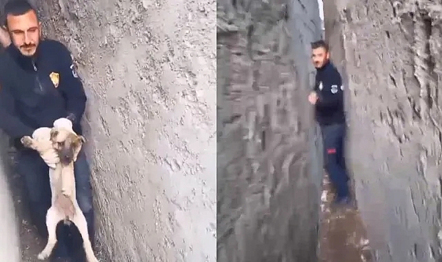 Duvara sıkışan köpeğin yardımına itfaiye yetişti