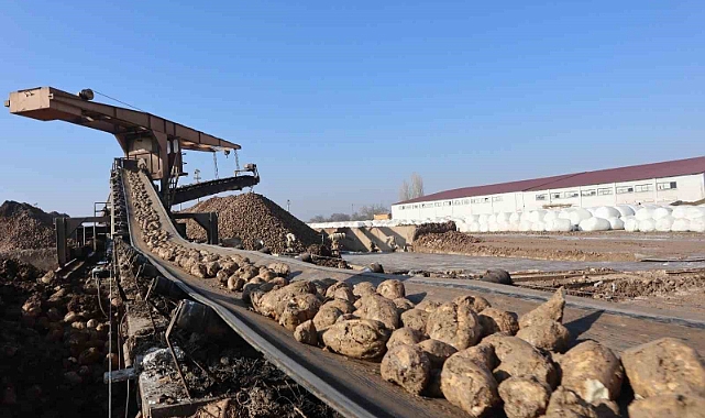 Şeker Fabrikası’nda bu yıl hedef 65 bin ton şeker üretimi