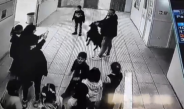 yağmurdan kaçan bir keçi okula sığındı