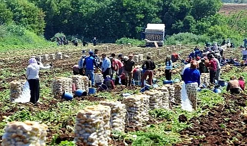 Urfa Barosu, 'Mevsimlik işçiler' için çalıştay düzenliyor