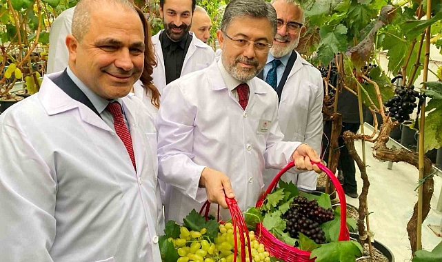Üzüm üreticilerine müjde