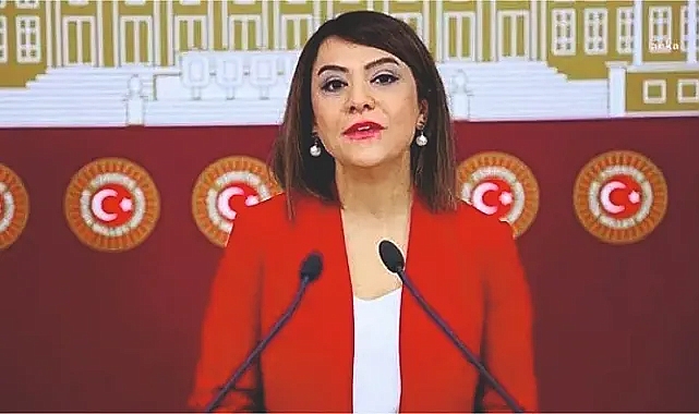 Vali Hasan Şıldak'a çağrı