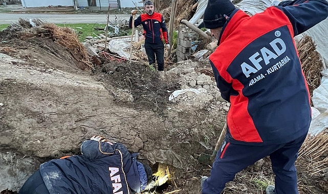 Ahır çöktü: 8 yavru köpekten 5’i kurtarıldı