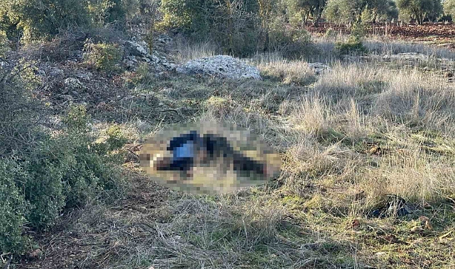 Alzaymır hastası yaşlı adam ölü bulundu