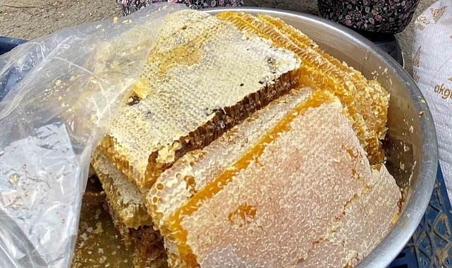 bal rekoltesi geçen yıla göre düşük kaldı