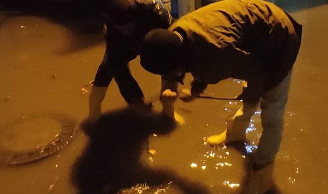 Ceylanpınar’da yollar göle döndü, küreği alan vatandaş rögara koştu
