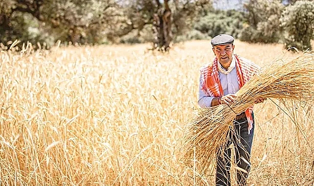 Çiftçilere müjde