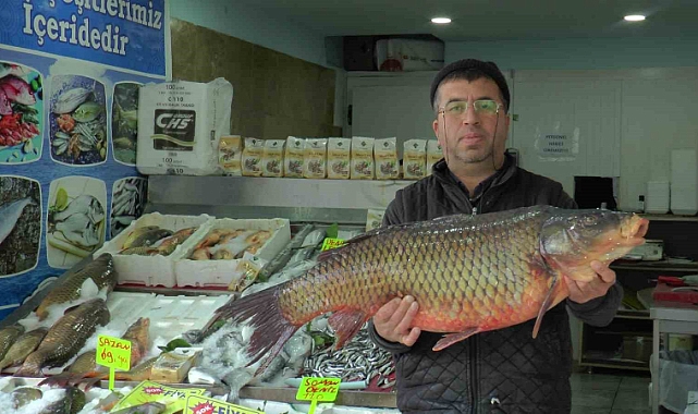 Denizi olmayan yerde balık ihracatı yapıyor